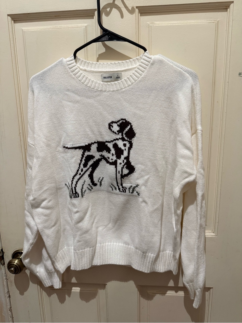 Hollister Dog Crewneck